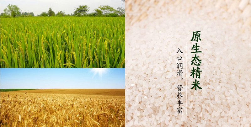 回归自然 绿色餐桌——有机大米的崛起